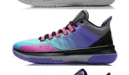 球鞋爆料韦德视频大全最新,揭秘全新系列与经典复刻